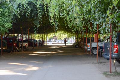 Los Serranitos | Camping sector parras